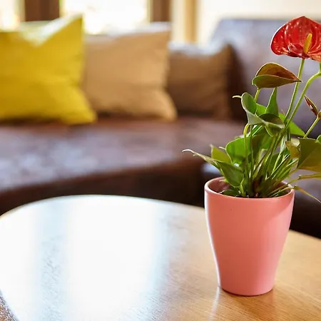 Apartment Rozelor Brasov